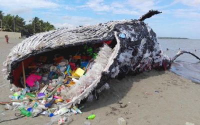 Plastic – A Good Way To Poison Ourselves!
